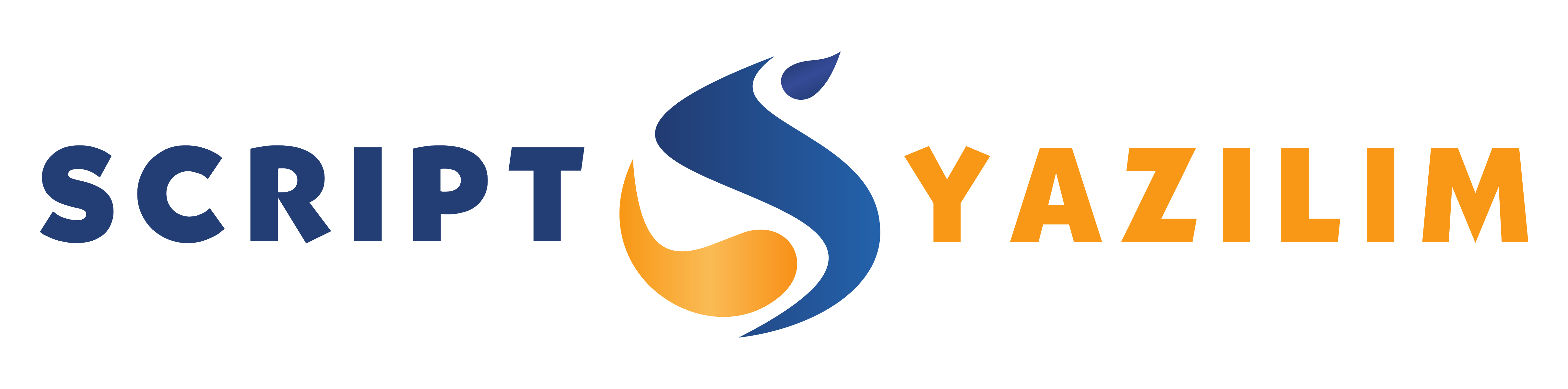 Script Yazılım